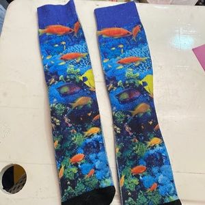 slightly worn fish tank socks crew length-basketball gym